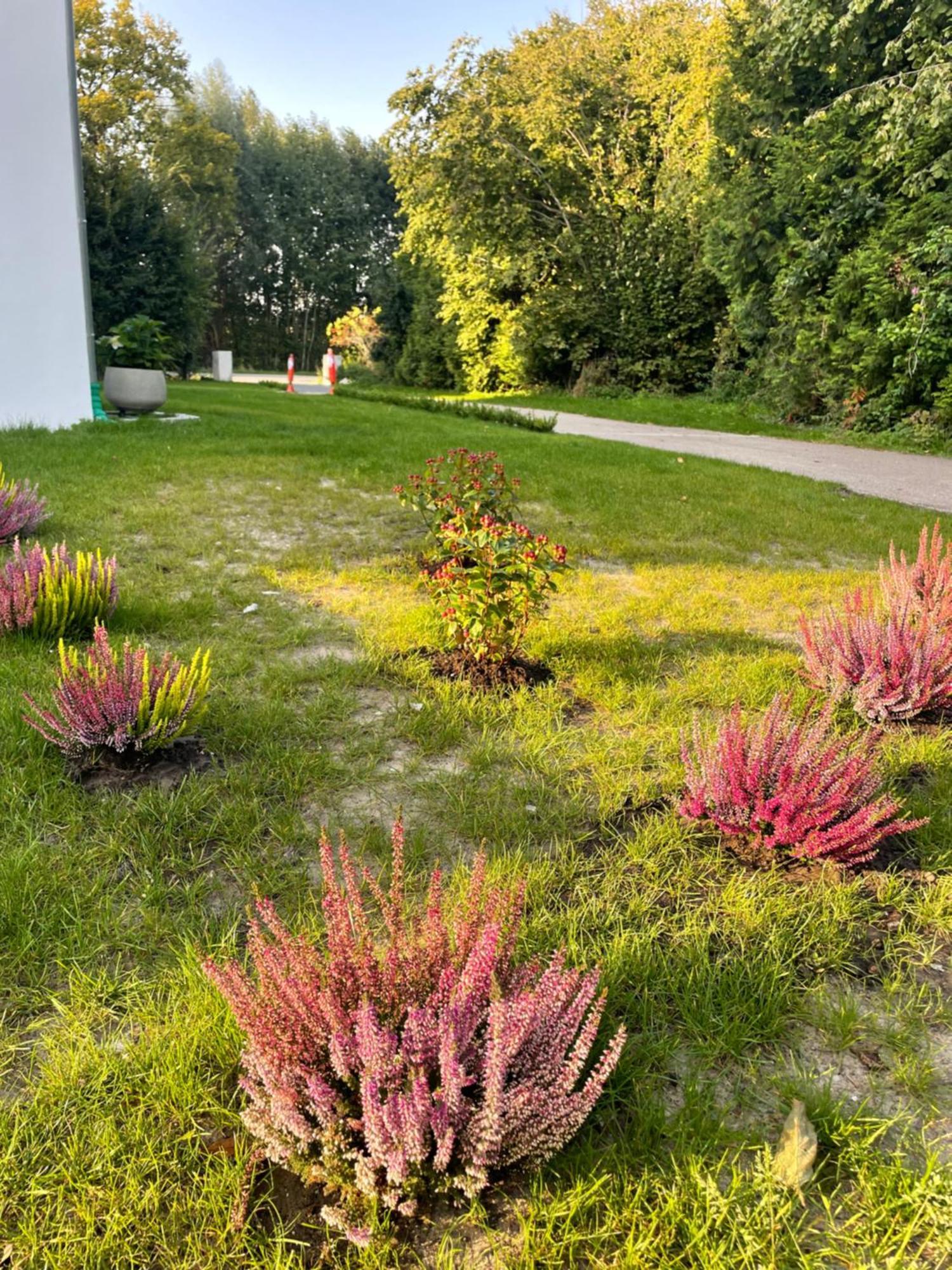 Appartement Mit 2 Schlafzimmern Und Terrasse Halle  Zewnętrze zdjęcie